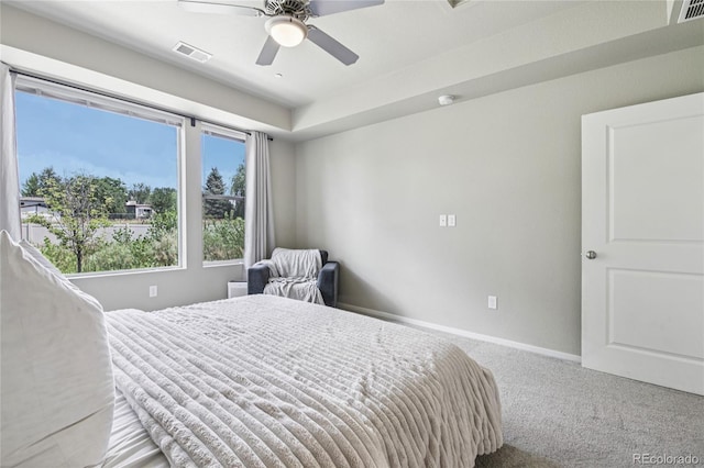 362 Pint St, Fort Collins, CO 80524 - photo 13