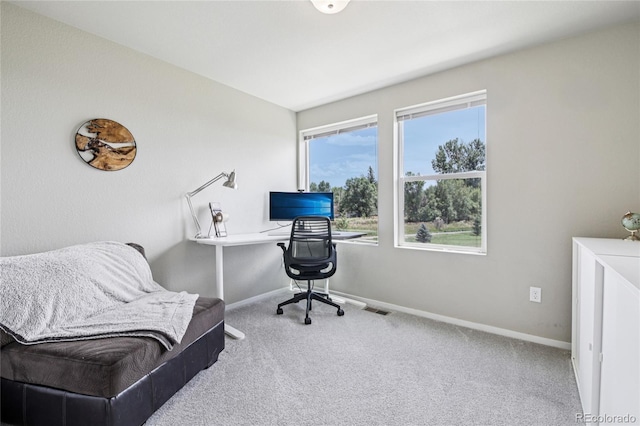 362 Pint St, Fort Collins, CO 80524 - photo 20