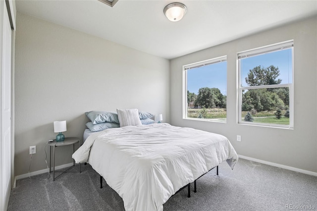 362 Pint St, Fort Collins, CO 80524 - photo 21