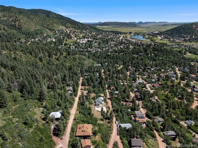 382 Largo Ave, Palmer Lake, CO 80133 - photo 2