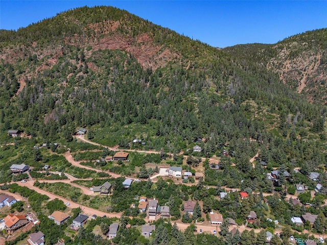 382 Largo Ave, Palmer Lake, CO 80133 - photo 3