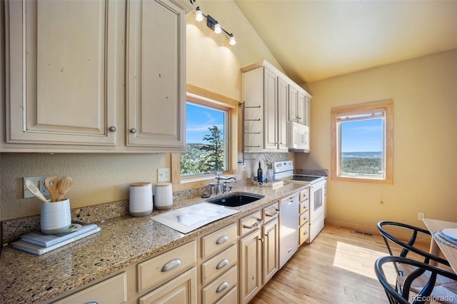 382 Largo Ave, Palmer Lake, CO 80133 - photo 12