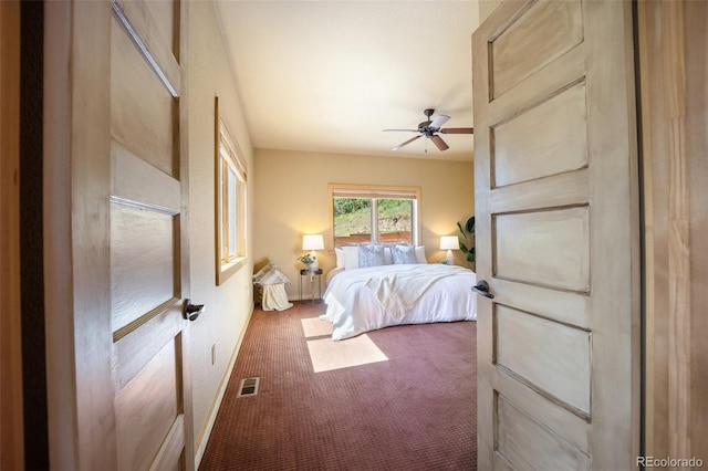 382 Largo Ave, Palmer Lake, CO 80133 - photo 14