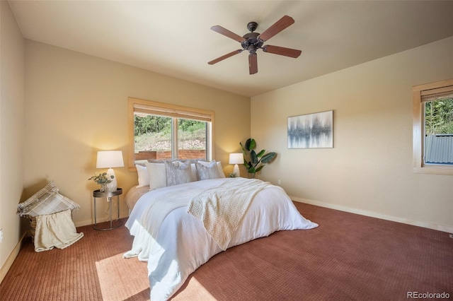 382 Largo Ave, Palmer Lake, CO 80133 - photo 15