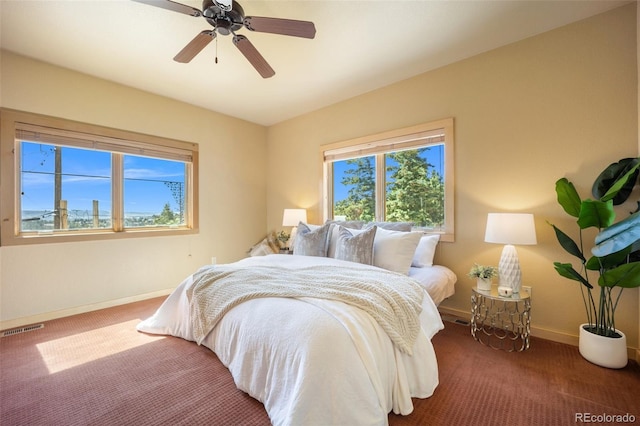 382 Largo Ave, Palmer Lake, CO 80133 - photo 17