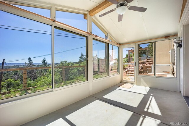 382 Largo Ave, Palmer Lake, CO 80133 - photo 33