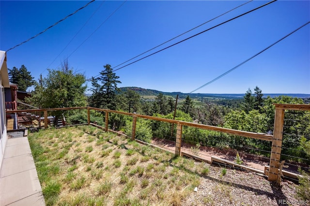 382 Largo Ave, Palmer Lake, CO 80133 - photo 37