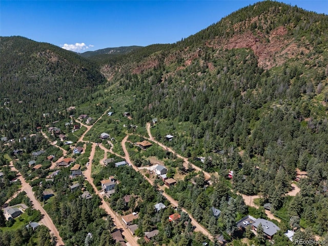 382 Largo Ave, Palmer Lake, CO 80133 - photo 43