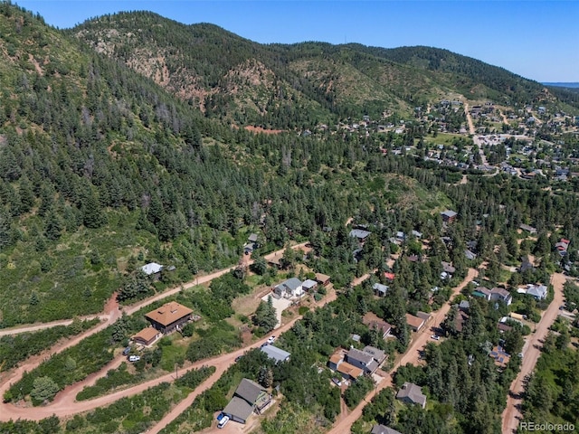 382 Largo Ave, Palmer Lake, CO 80133 - photo 44