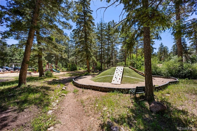 382 Largo Ave, Palmer Lake, CO 80133 - photo 47