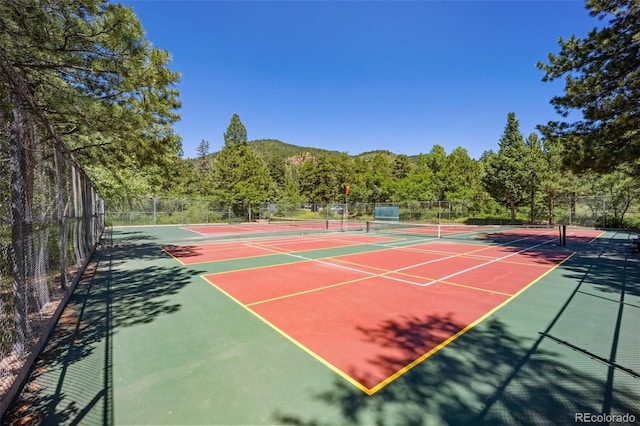 382 Largo Ave, Palmer Lake, CO 80133 - photo 48