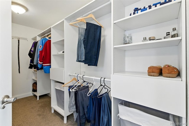 walk in closet with carpet flooring