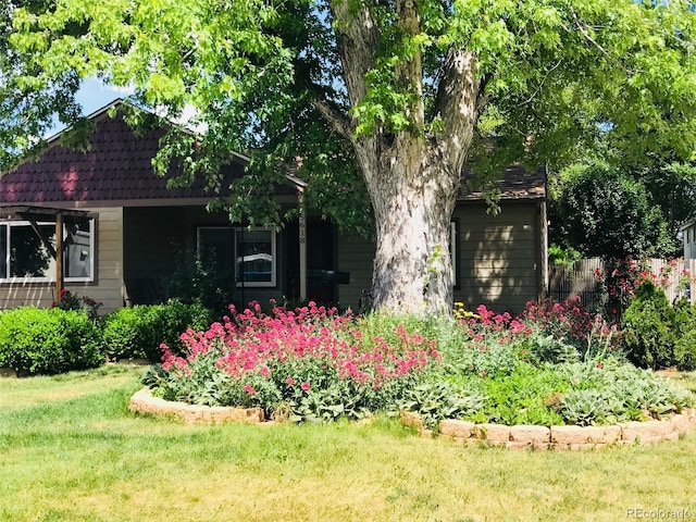 5618 Carr St, Arvada, CO 80002 - view of home's exterior featuring a lawn