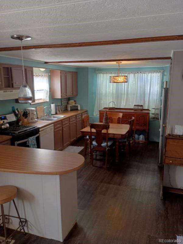 510 N 19th St Unit 19A, Canon City, CO 81212 - kitchen with stainless steel range with gas cooktop, white dishwasher, a sink, dark wood-type flooring, and light countertops