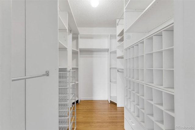 walk in closet with wood finished floors