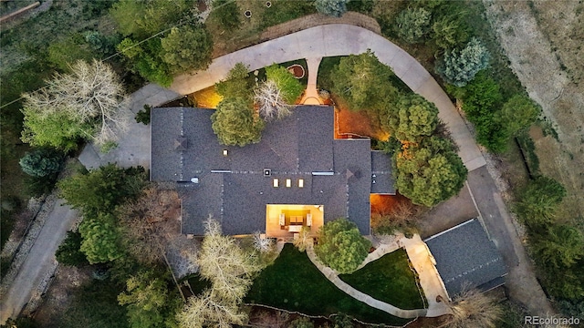 bird's eye view
