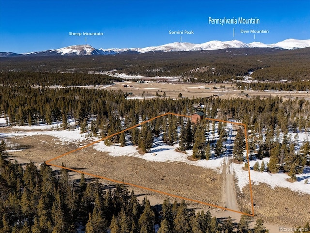 drone / aerial view with a mountain view and a forest view