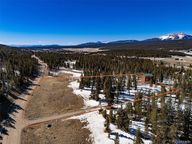 snowy aerial view with a forest view and a mountain view