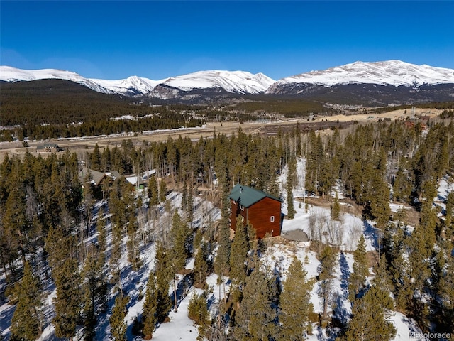 view of mountain feature featuring a view of trees