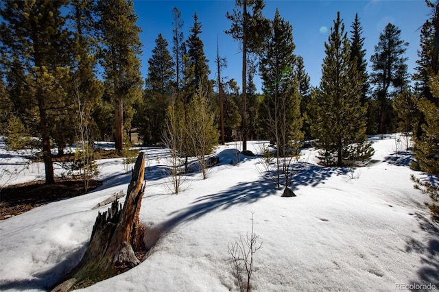 yard layered in snow with a wooded view