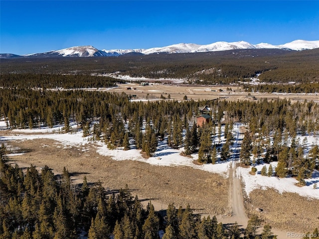 view of mountain feature with a forest view