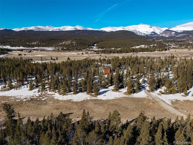 drone / aerial view featuring a wooded view and a mountain view