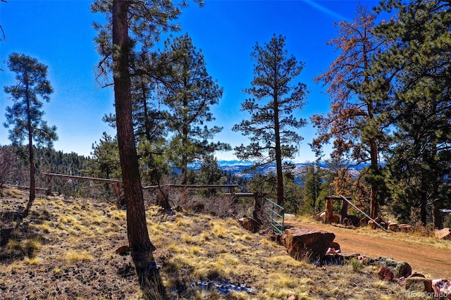 view of yard with a forest view