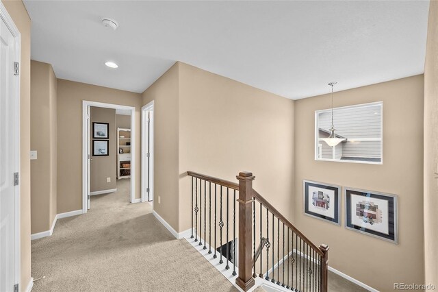 2575 Mccracken Ln, Castle Rock, CO 80104 - photo 20