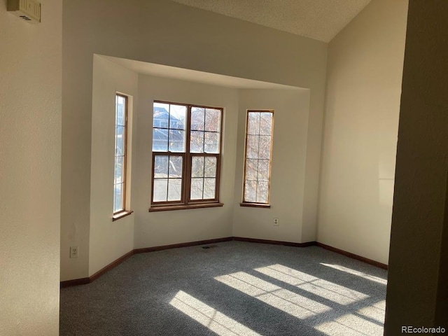 spare room featuring a textured ceiling and carpet floors