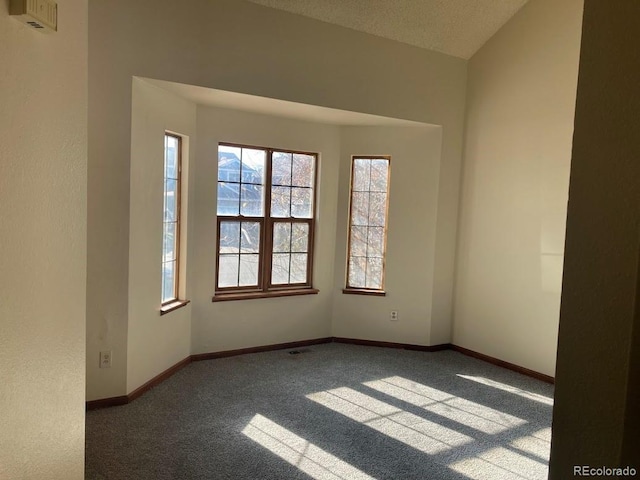 spare room with carpet floors and a textured ceiling