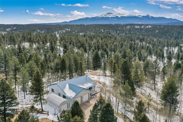 4261 County Road 51, Divide, CO 80814 - photo 1