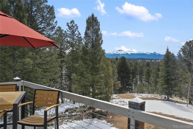 4261 County Road 51, Divide, CO 80814 - photo 5