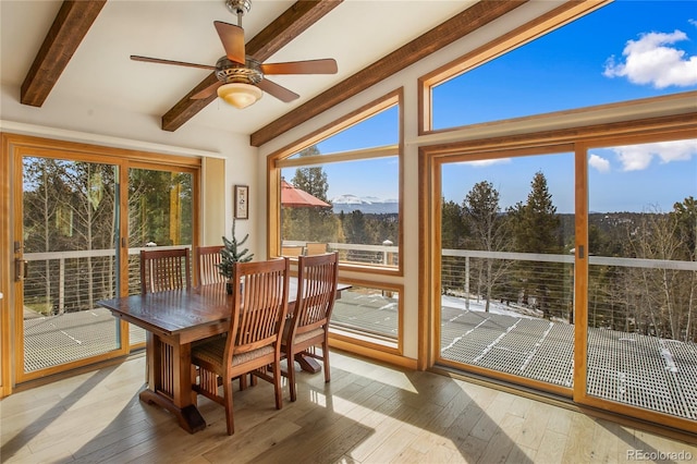 4261 County Road 51, Divide, CO 80814 - photo 8
