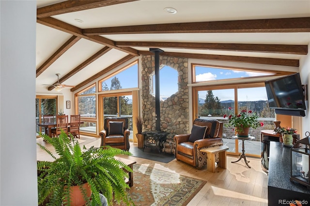 4261 County Road 51, Divide, CO 80814 - photo 11