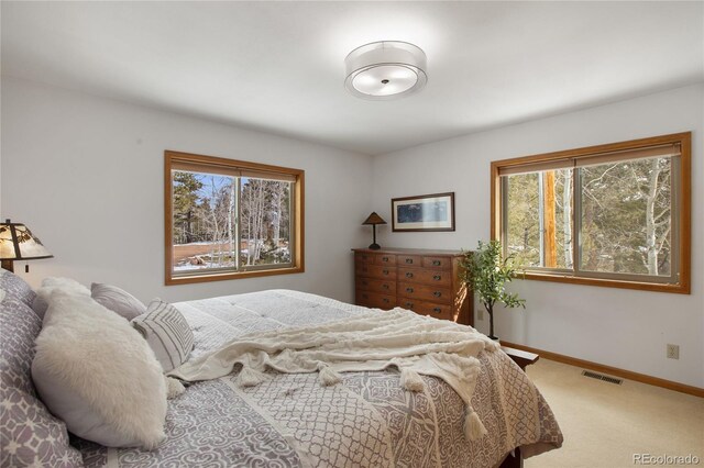 4261 County Road 51, Divide, CO 80814 - photo 17