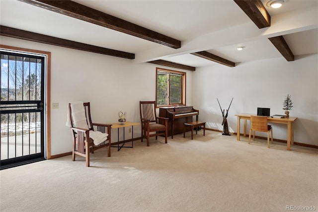 4261 County Road 51, Divide, CO 80814 - photo 22