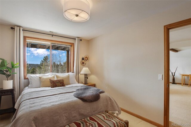 4261 County Road 51, Divide, CO 80814 - photo 24