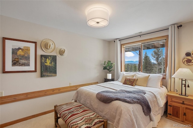 4261 County Road 51, Divide, CO 80814 - photo 25