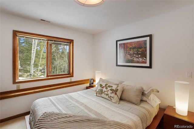 4261 County Road 51, Divide, CO 80814 - photo 29