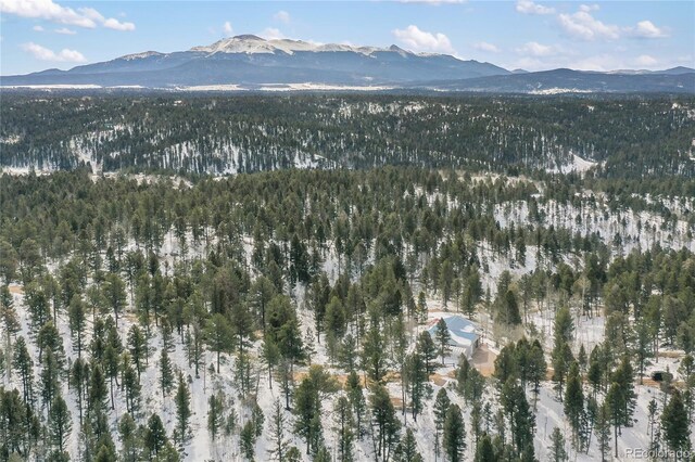 4261 County Road 51, Divide, CO 80814 - photo 31