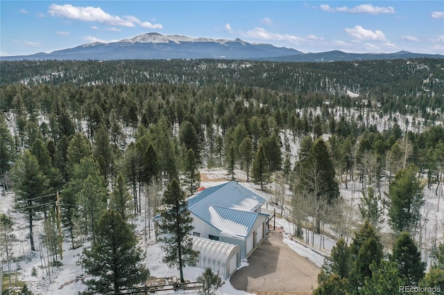 4261 County Road 51, Divide, CO 80814 - photo 34