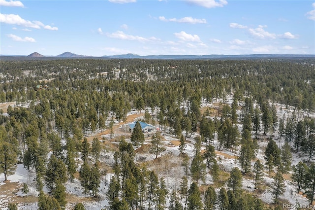 4261 County Road 51, Divide, CO 80814 - photo 36