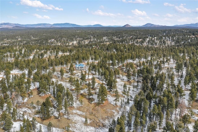 4261 County Road 51, Divide, CO 80814 - photo 38