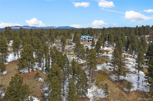 4261 County Road 51, Divide, CO 80814 - photo 40
