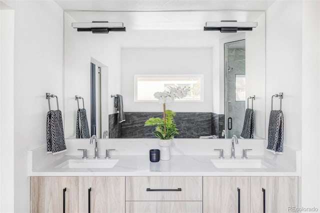 bathroom featuring vanity and a shower with shower door