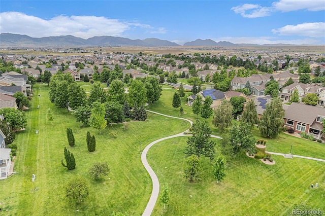 8397 Fig St, Arvada, CO 80005 - photo 28