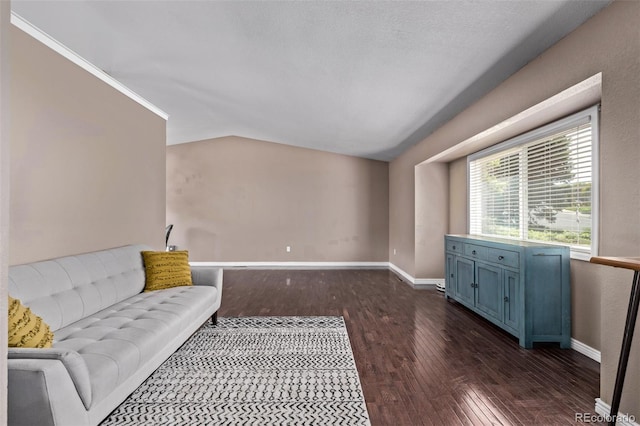 6062 S Newport St, Centennial, CO 80111 - unfurnished living room with dark wood-style flooring, baseboards, and lofted ceiling