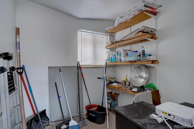 2938 Eliot Cir, Westminster, CO 80030 - view of storage room