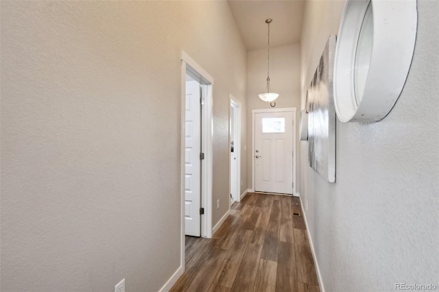 interior space with dark hardwood / wood-style floors and a high ceiling