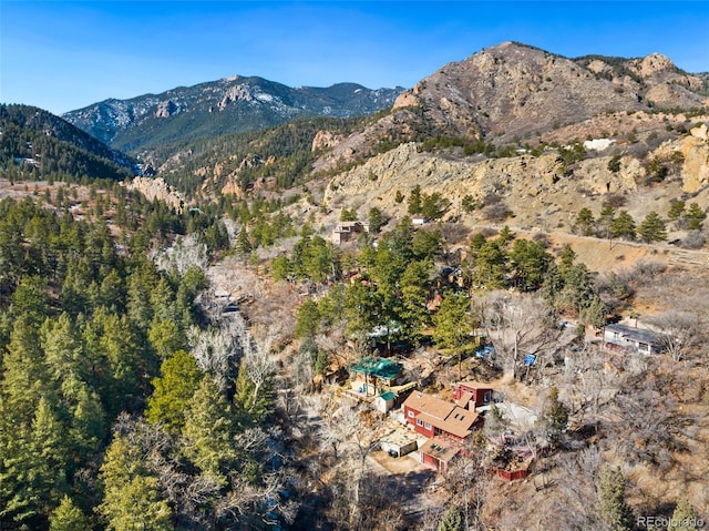 470 Bear Creek Rd, Colorado Springs, CO 80906 - view of mountain backdrop